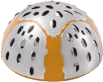 Osteofitllc