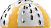 Osteofitllc